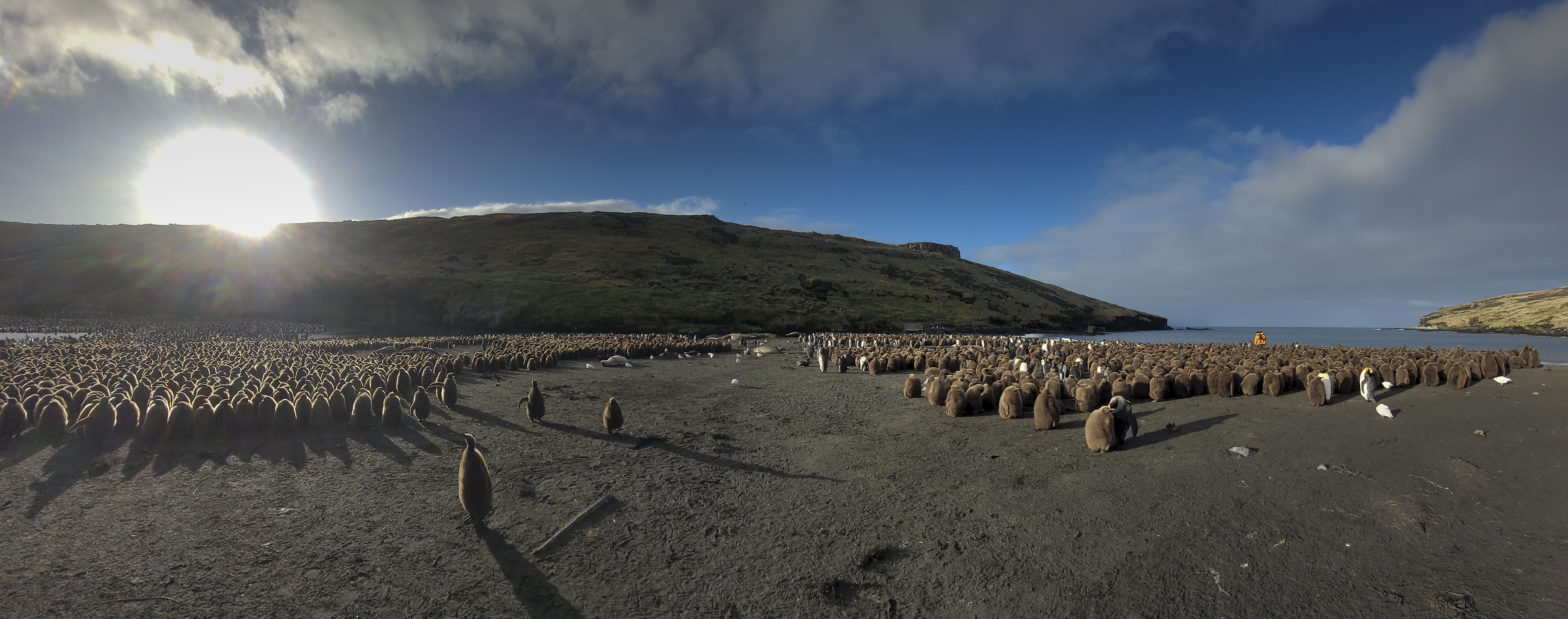 GYT 20220701 144648 20220701 144636